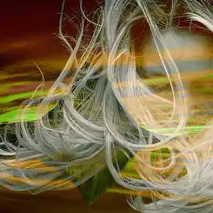 Picture for song 'Invisible (feat. Paolamadelaine in English)' by artist 'Round The Globe'