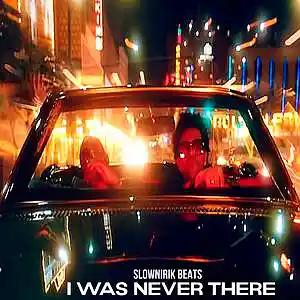 Picture for song 'I was never there' by artist 'Slownirik'