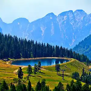 Picture for song 'Abri EL ~ Stralucire' by artist 'Abri EL'