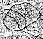 Picture for song 'Moonlight Amalgam II' by artist 'Andrew Stone'