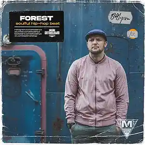 Picture for song 'Forest (soulful hip-hop beat)' by artist 'BITODELNYA'