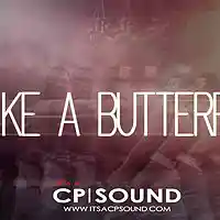 Picture for song 'A Few Things freestyle (Prod by CPSOUND) FREE BEAT' by artist 'CP.SOUND'