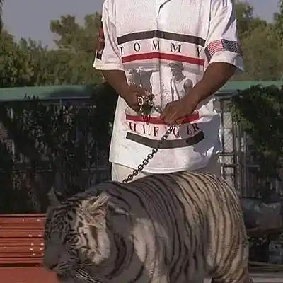 Picture for song 'Detroit Sample x YN Jay Type Beat - "Gangster" (bu' by artist 'Demon Face'