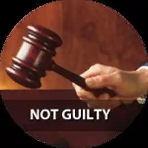 Picture for song 'Not Guilty!' by artist 'Drunk Plumber Society'