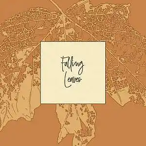 Picture for song 'Falling Leaves' by artist 'MOLODOi'