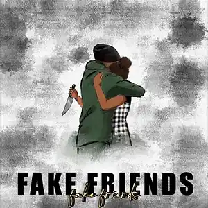 Picture for song ''fake friends'' by artist 'Larry Soundz'