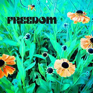 Picture for song 'Freedom' by artist 'Netuno Soundtracks'
