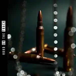 Picture for song '"Fully Loaded' Don Trip Starlito Flute & Piano Gan' by artist 'Hurd On The Track'