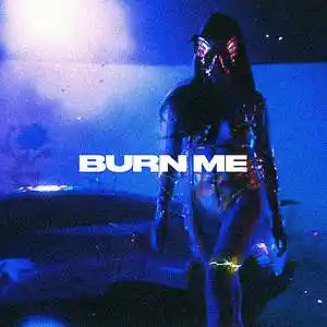 Picture for song '"Burn Me" Don Toliver x Gunna' by artist 'SIGHOST'