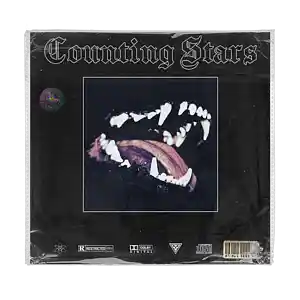 Picture for song 'Counting Stars' by artist 'SLYRAX'