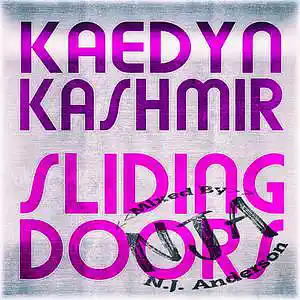 Picture for song 'PLAP Kaedyn Kashmir Sliding Doors mixed by NJA' by artist 'Songs Mixed By NJ Anderson'