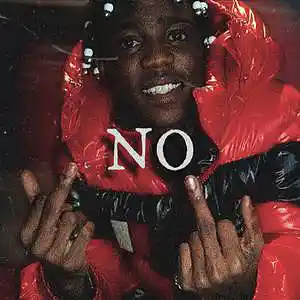 Picture for song 'NO' by artist 'STARKMADETHIS'