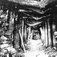 Picture for song 'Don't leave me in the Dark' by artist 'Superbron'