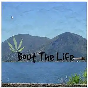 Picture for song 'Smoking Too Much Weed' by artist 'Buxy B'