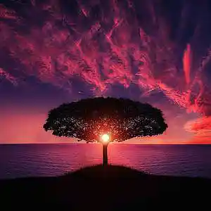 Picture for song '"Magic" Chill Instrumental Type Beat' by artist 'CephasMusic'
