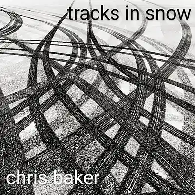 Picture for song 'Tracks In Snow' by artist 'Chris Baker'