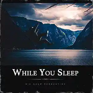 Picture for song 'WHILE YOU SLEEP (Smooth Beat X Sad Love Type Beat)' by artist 'Die Naum Production'