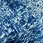 Picture for song 'teilsk' by artist 'DNYSZ'