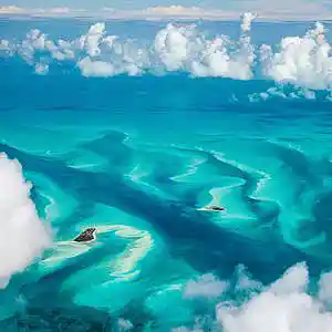 Picture for song 'LeMinhMan.com Wavey Ocean' by artist 'leminhman'