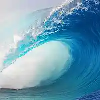 Picture for song 'Wavy xYo Gotti Typex' by artist 'Over The Top Music'