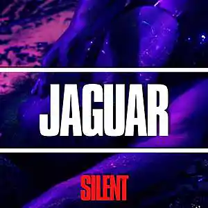 Picture for song '"Jaguar" Obladaet Type Beat' by artist 'Silent The Producer'