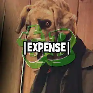 Picture for song 'Expense - Dark Intense Trap Beat - 91BPM' by artist 'tB HealthySickness'