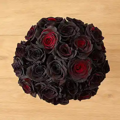 Picture for song 'Blood And Roses' by artist 'TheIrishTexan'