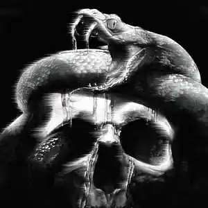 Picture for song 'Nicki Minaj Type Beat - Anaconda 150 bpm' by artist 'WHAT?BOYBEATS'