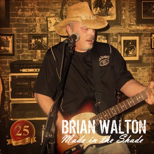 Picture for song '13. Fly Higher' by artist 'Brian Walton'