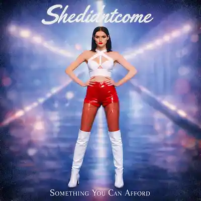 Picture for song 'Summer Will Come' by artist 'shedidntcome'