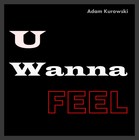 Picture for song 'U Wanna Feel' by artist 'Adam Kurowski'
