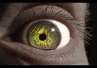 Picture for song 'Shades Of Green' by artist 'andy rashley'