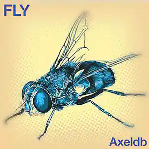 Picture for song 'Fly' by artist 'Axeldb'