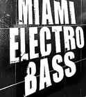 Picture for song 'BASSOTRONICS - Bass Groove 808' by artist 'BASSOTRONICS'