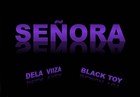 Picture for song 'DeLa Viiza & BlaCk tOy - Senora' by artist 'Black Toyz'