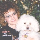 Picture for song 'Lacy and Shadow and Me' by artist 'Burch Ray Palmer'