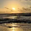 Picture for song 'Watching Waves' by artist 'Brandi Simpson'