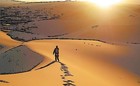 Picture for song 'I want Jesus to Walk with Me' by artist 'CHRISTIAM DISCIPLE'