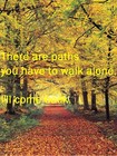 Picture for song 'WALKING THE FOREST' by artist 'Compatibles2'