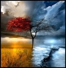 Picture for song 'Bittersweet' by artist 'dandbproductions'