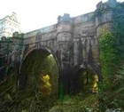 Picture for song 'Bridge of Dreams' by artist 'Dave Berry'