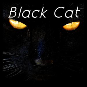Picture for song '[Free] Damso x Laylow Type Beat - Black Cat' by artist 'DFS music'