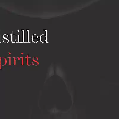 Picture for song 'New World Order' by artist 'Distilled Spirits'