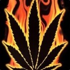 Picture for song 'winter days' by artist 'DJ GLenn'