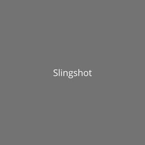 Picture for song 'Slingshot [Gunna x Lil Keed x Lil Gotit Type Beat]' by artist 'DJ Mauri B'