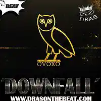Picture for song 'DownFall x Drake Type Beat 2016' by artist 'Dras On The Beat'