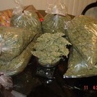 Picture for song 'Free DL!!Gangsta Ish!!!(Anthem!!!!!)' by artist 'EZ Money Beatz'