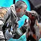 Picture for song 'Heroes (remix)' by artist 'Fragile Forest'