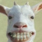 Picture for song 'If the creek don't rise Gbp, music gypsy, original' by artist 'gypsy box productions'