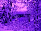 Picture for song 'Sometimes Rose' by artist 'Ian Dowdall'